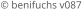 © benifuchs v087